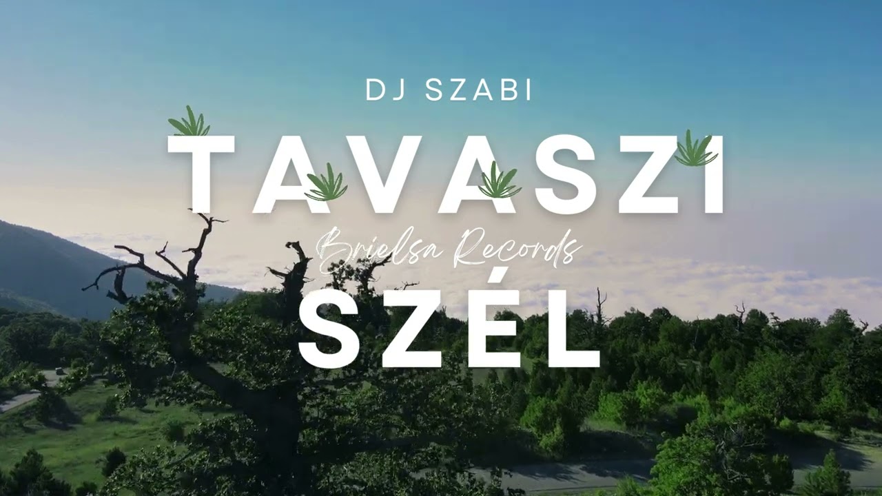 Dj Szabi - Tavaszi sz&eacute;l (Drum and bass edit)