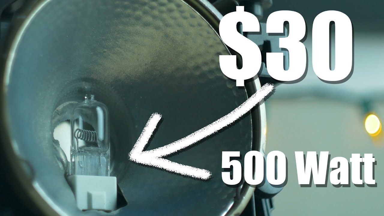 Lowel Omni - 500 Watt Light For $30