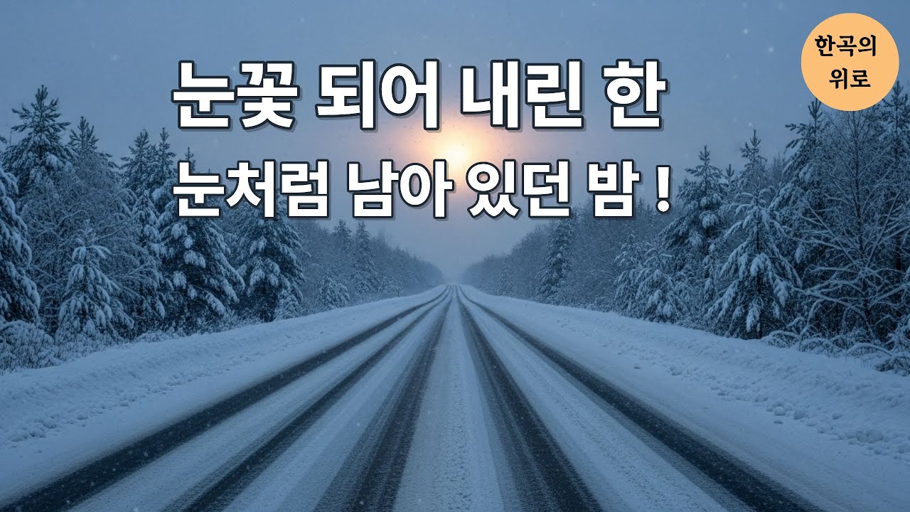 눈꽃 되어 내린 한 · 7080 감성 트로트 2곡 앨범｜한곡의 위로