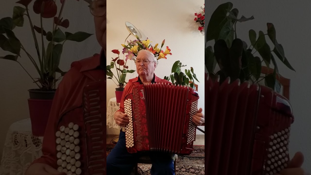 Бархатный блюз. 