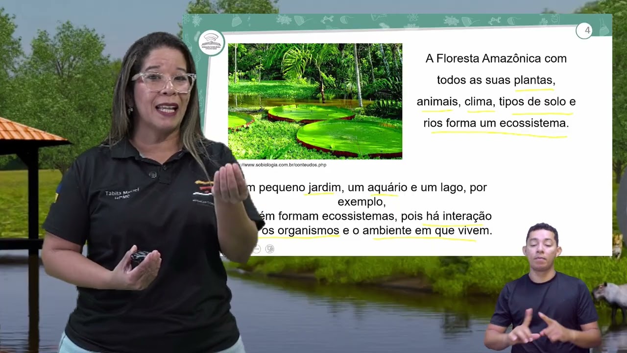 31.1 - ECOLOGIA II - BIOLOGIA - 3º ANO E.M - AULA 31.1/2026