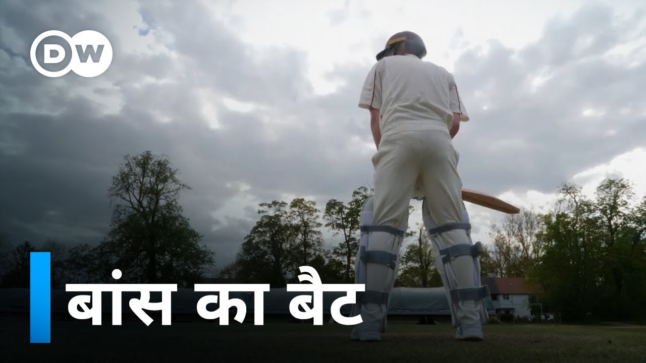 बांस का बैट क्या ज्यादा मजबूत है? [Bamboo cricket bat beats willow, scientists say]