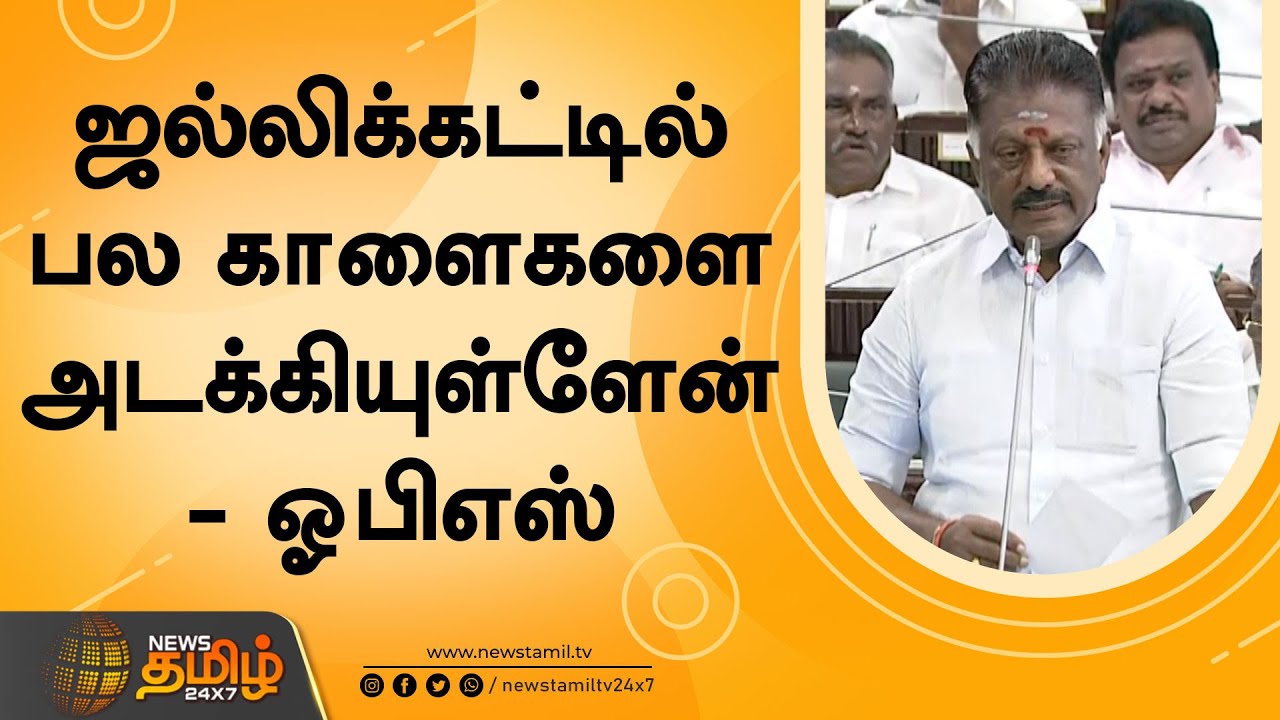 ஜல்லிக்கட்டில் பல காளைகளை அடக்கியுள்ளேன் - ஓபிஎஸ் | Ops about Jallikattu | Ops Assembly Speech