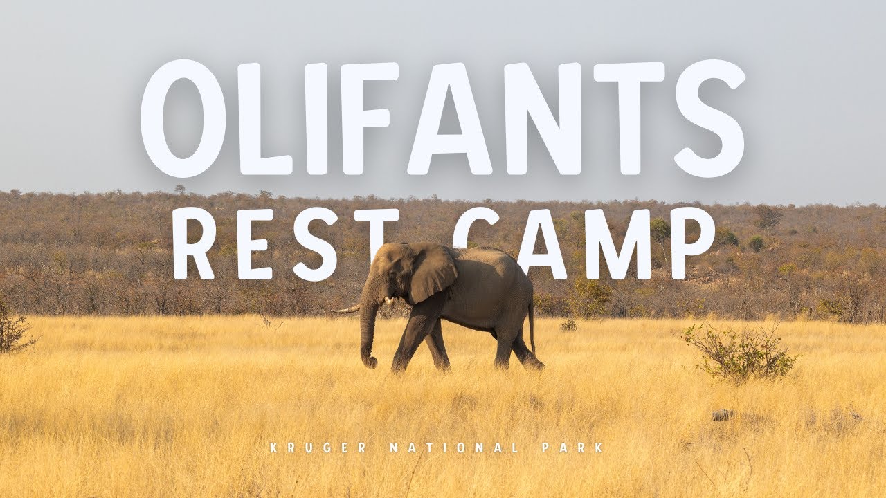 Kruger Magic - Olifants Rest Camp