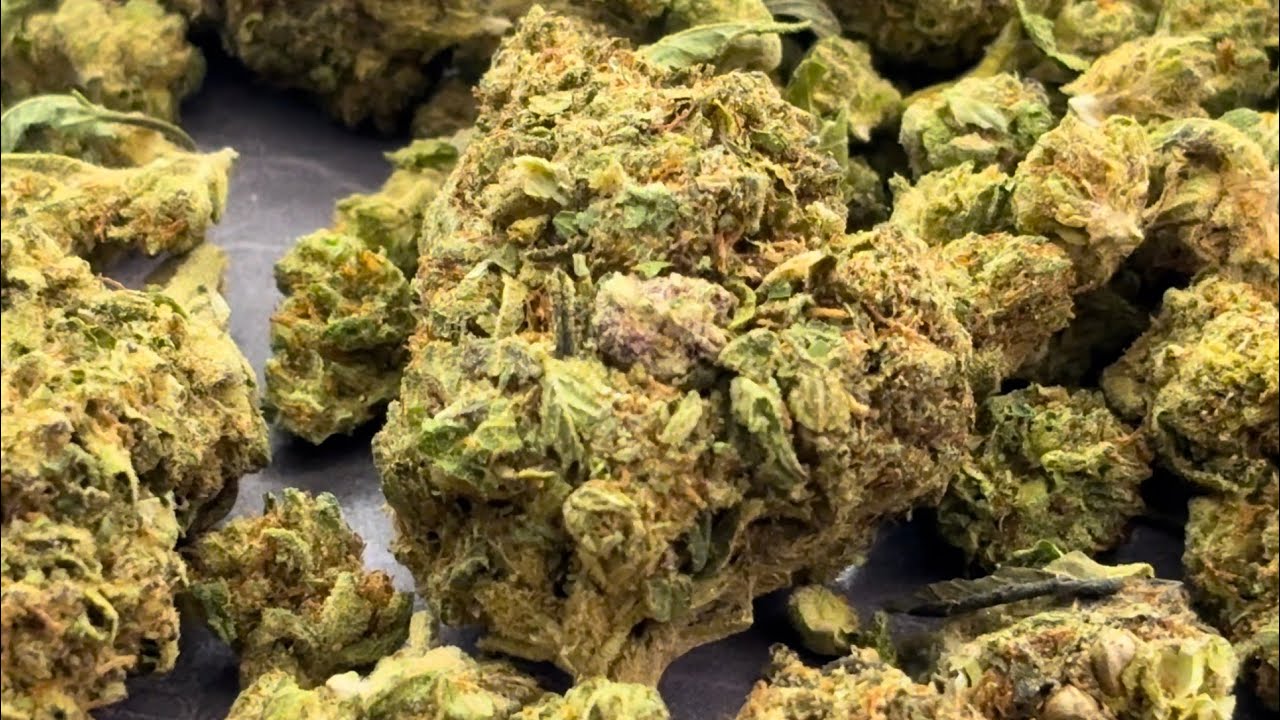THCA SMALL BUDS Haze Trim Review 💚Gas or Pass