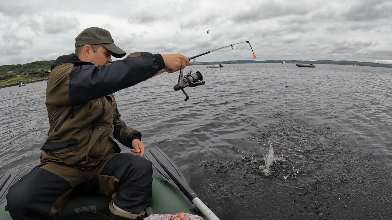 На ЗИМНЮЮ УДОЧКУ в заливе БАРЕНЦЕВА МОРЯ / FOR A WINTER FISHING ROD in the Bay of the BARENTS SEA