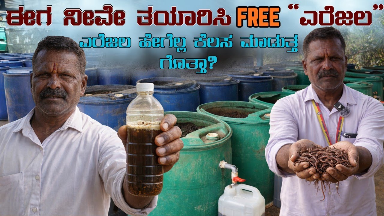 ಎರೆ ಜಲ ಎಂದರೇನು? ನೀವೇ ಫ್ರೀಯಾಗಿ ಹೇಗೆ ತಯಾರಿಸಬೇಕು | varmi wash making guidance in Kannada
