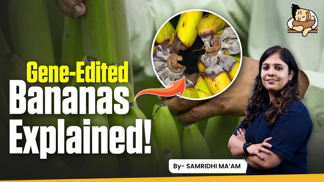 Gene–Edited Bananas May Reduce Greenhouse Emissions?