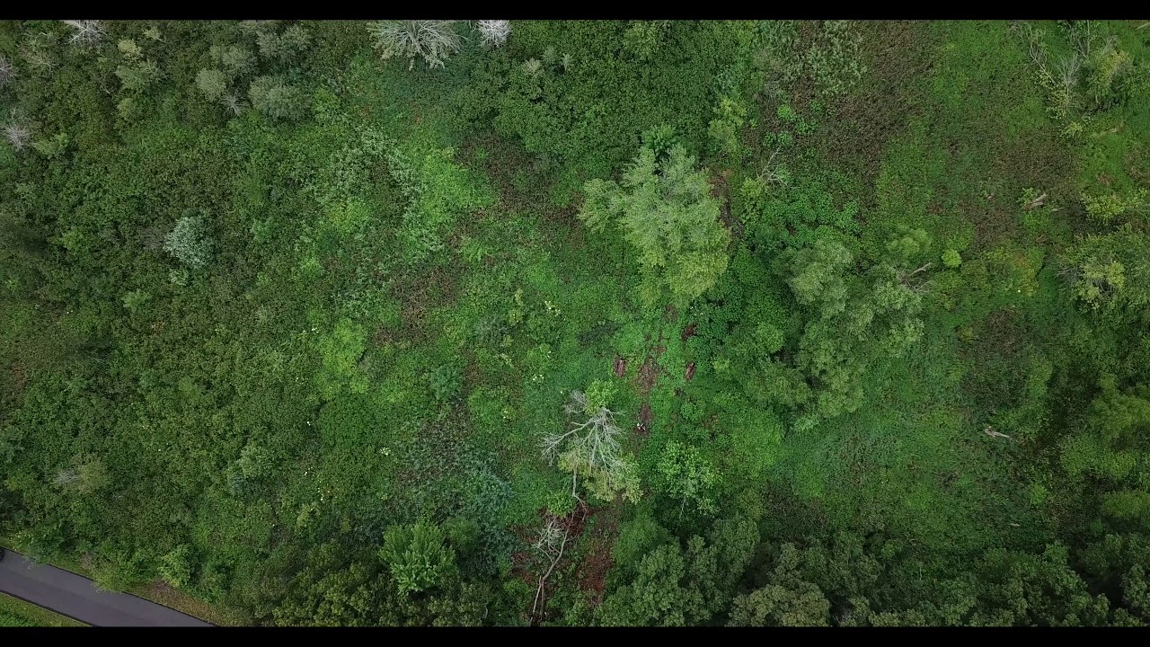 INDIANA Drone Footage