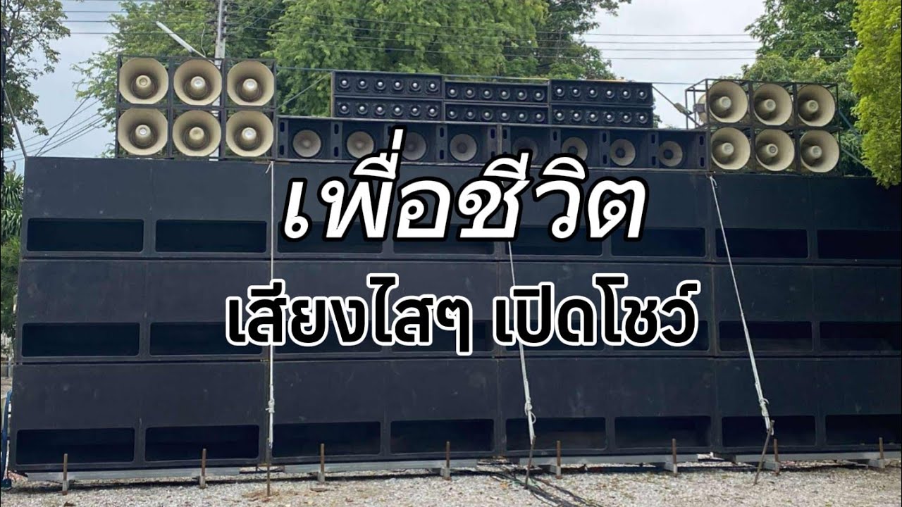 เพื่อชีวิต เบสนิ่มๆเสียงไสๆ 🎶🎶🎶