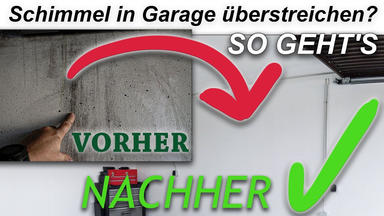 Schimmel in Garage überstreichen? Schimmelbekämpfung mit dem BKM Bio Schimmelschutz