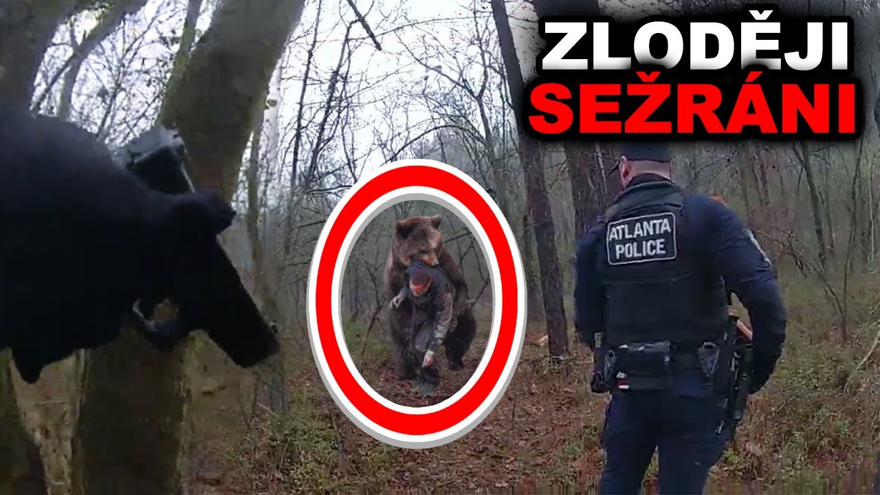 ZLOČINCI NA ÚTĚKU PŘED POLICIÍ NAPADLO ZVÍŘE!