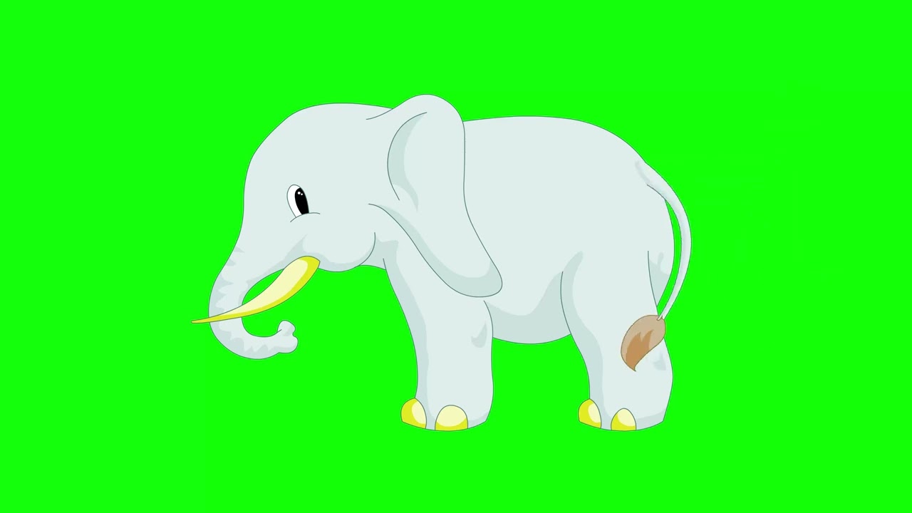 cartoon green screen animals elephant 2d animation