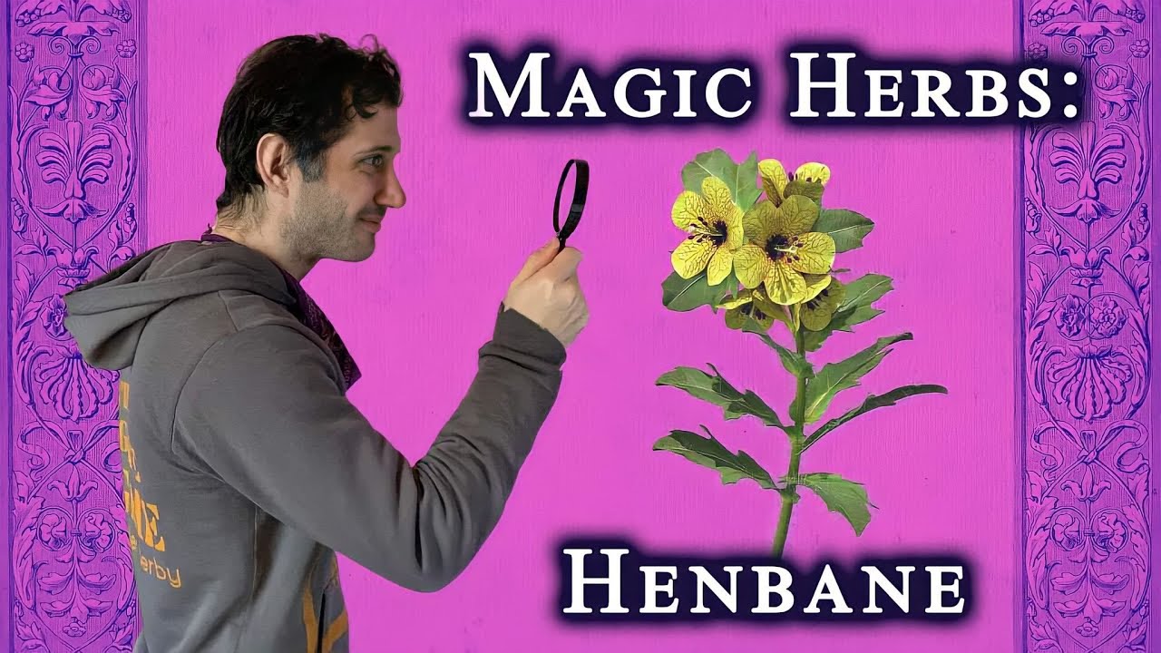 Magic Herbs: Henbane