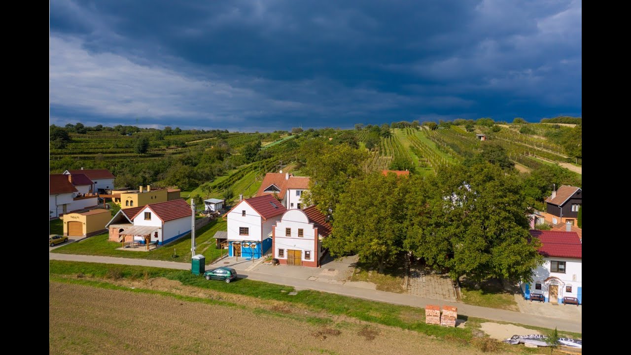 Prodej, penzionu a vinařství, Mutěnice