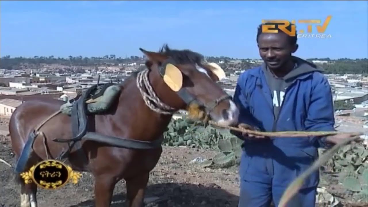 ERi-TV መደብ ፍኖተ ሂወት: Day Laborers And Their Horses