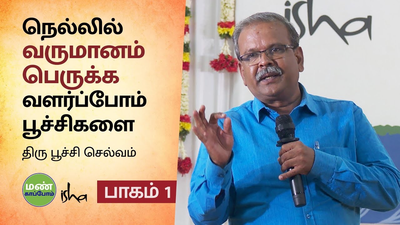 பூச்சிக்கு பயிர்ல என்ன வேலை, எப்படி பூச்சிய தடுக்கலாம்?