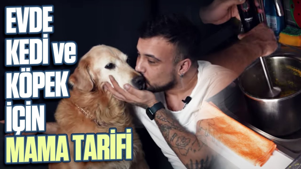Evde Kedi ve Köpekler İçin Mama Tarifi - Hiçbir Evlat Bu Mamaya Hayır Diyemez !