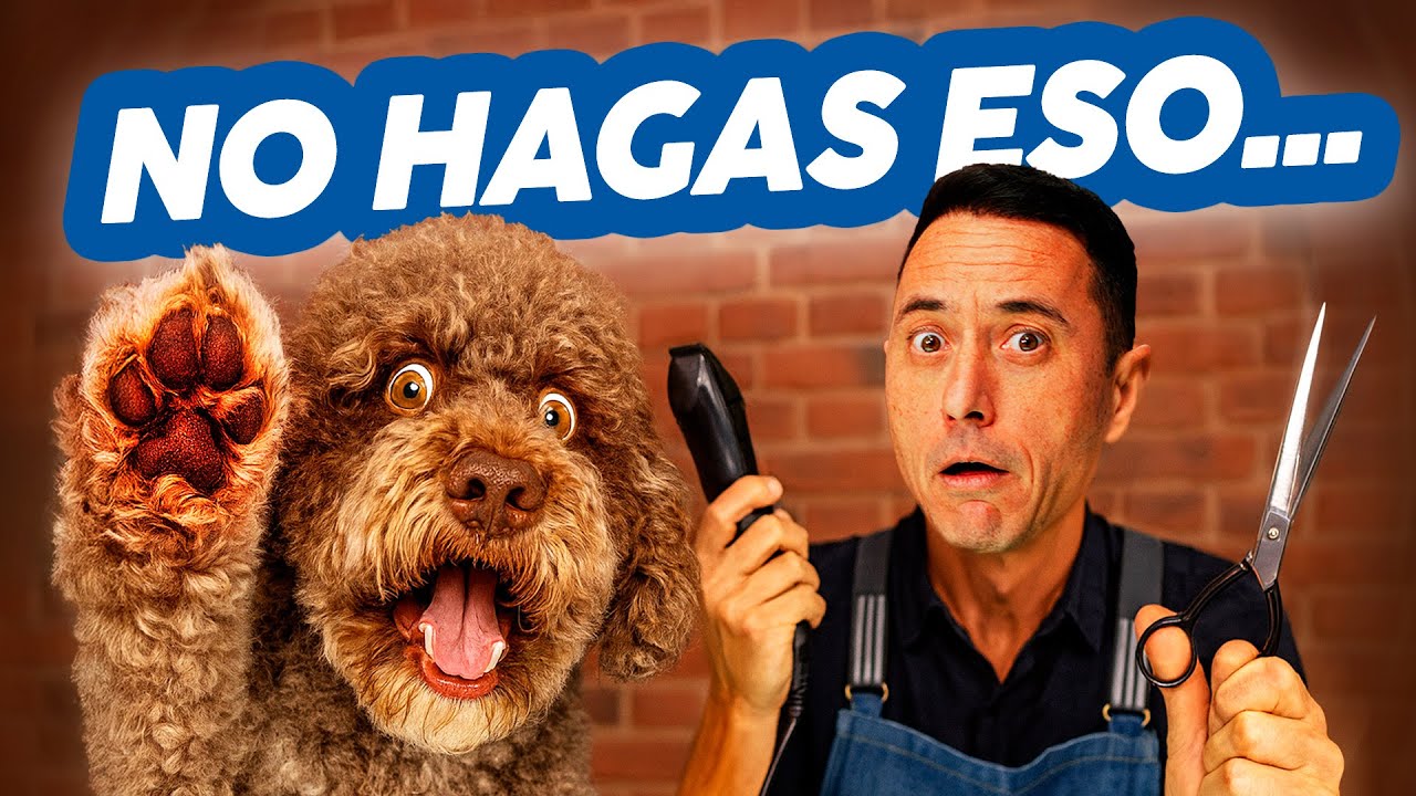 Estás CORTANDO MAL el PELO de las ALMOHADILLAS