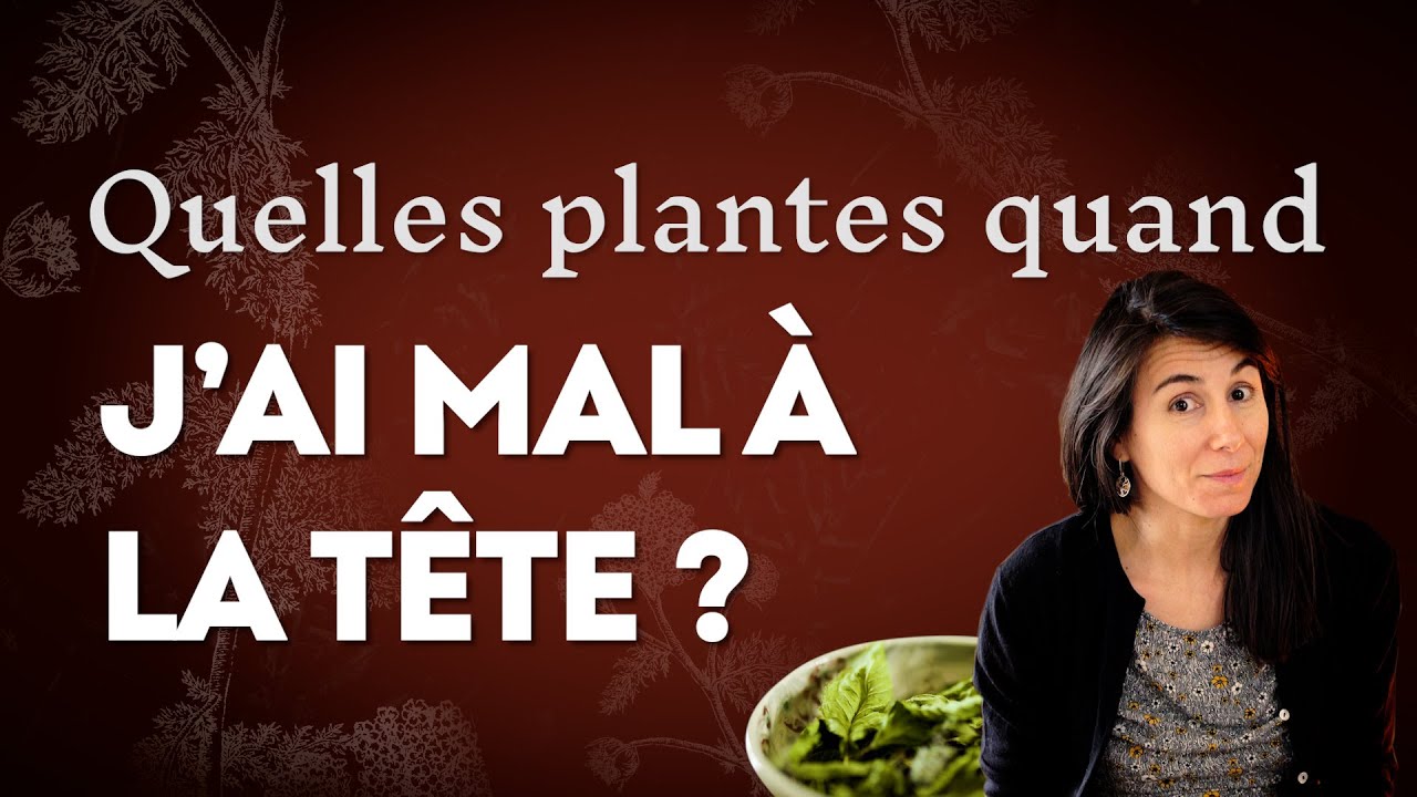 Migraine et mal de tête : Quelles plantes ?