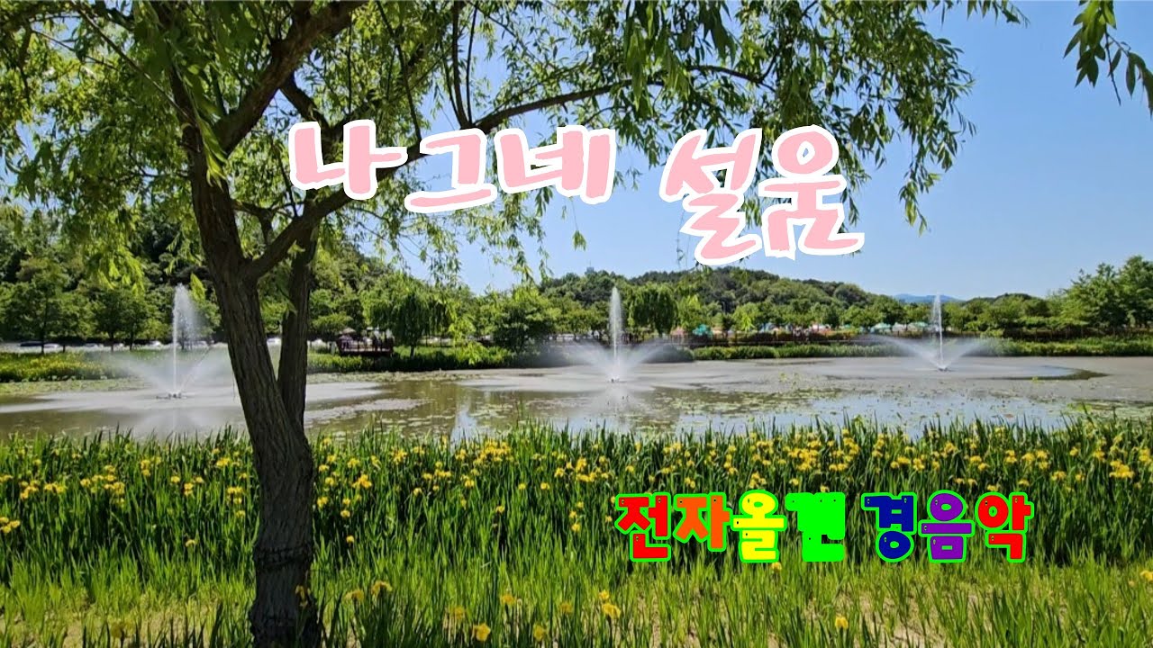 나그네 설움 / 백년설 / 전자올겐 경음악 🎹