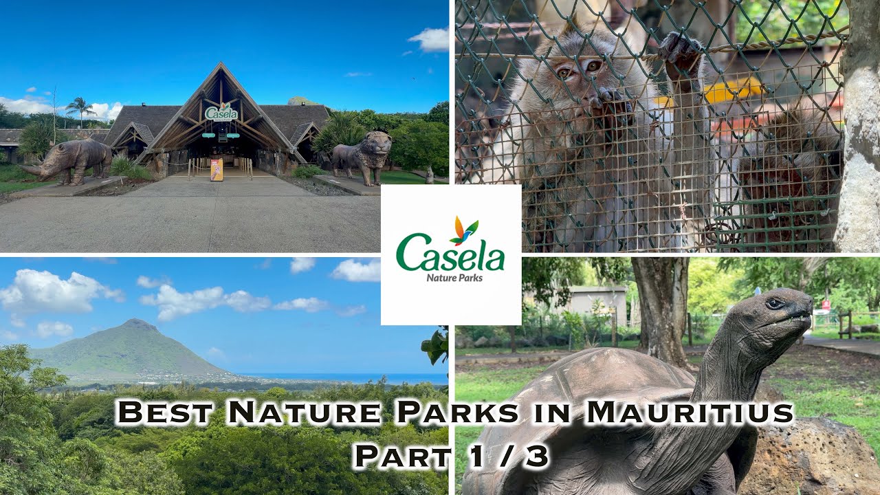 🇲🇺 Mauritius - Casela Nature Parks | Premier nature and adventure destination Part 1/3 | 4k