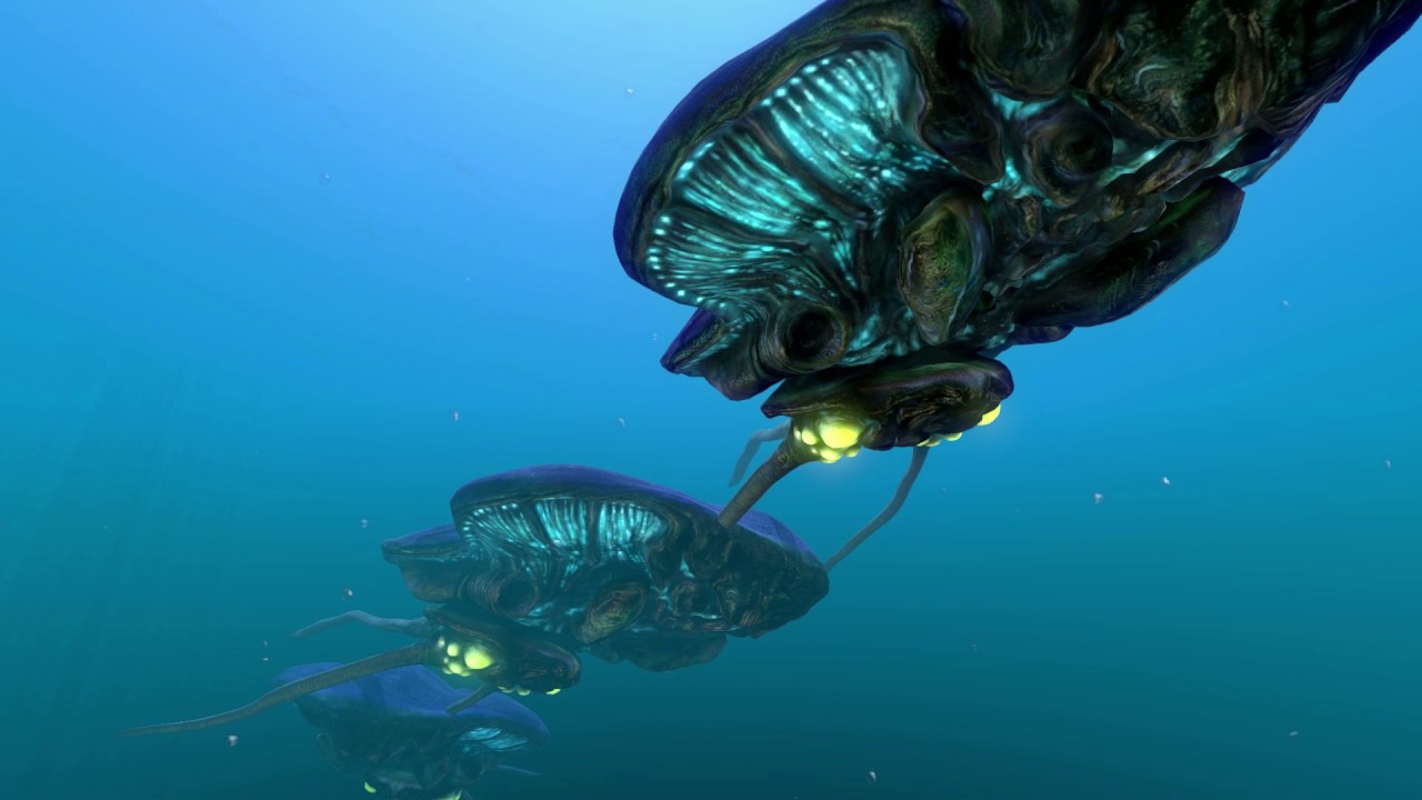 1 Hour of Subnautica Reefback Sounds