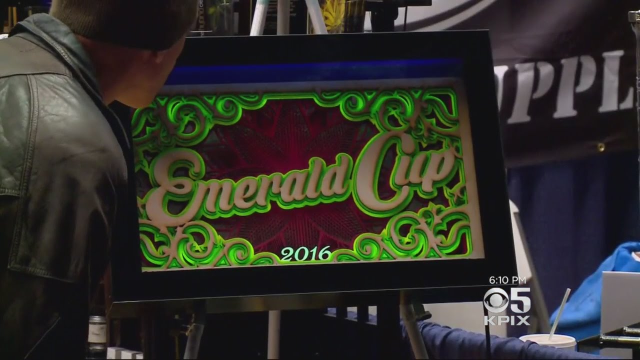 Emerald Cup Pot Fair Draws 30K To Santa Rosa