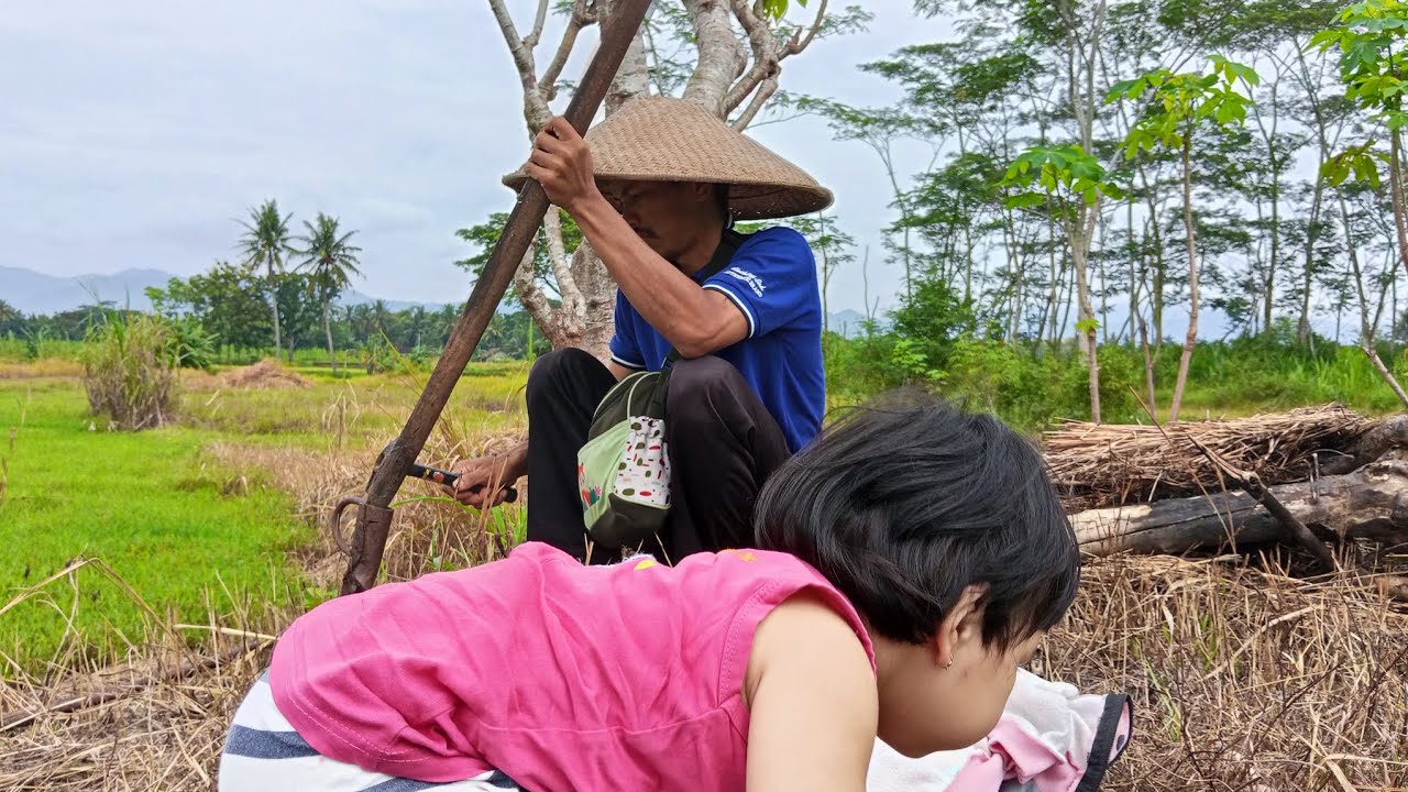 Mari ke sawahhhh!!!!!. Turun puncak menoreh #samigaluh #minivlog #knezk 