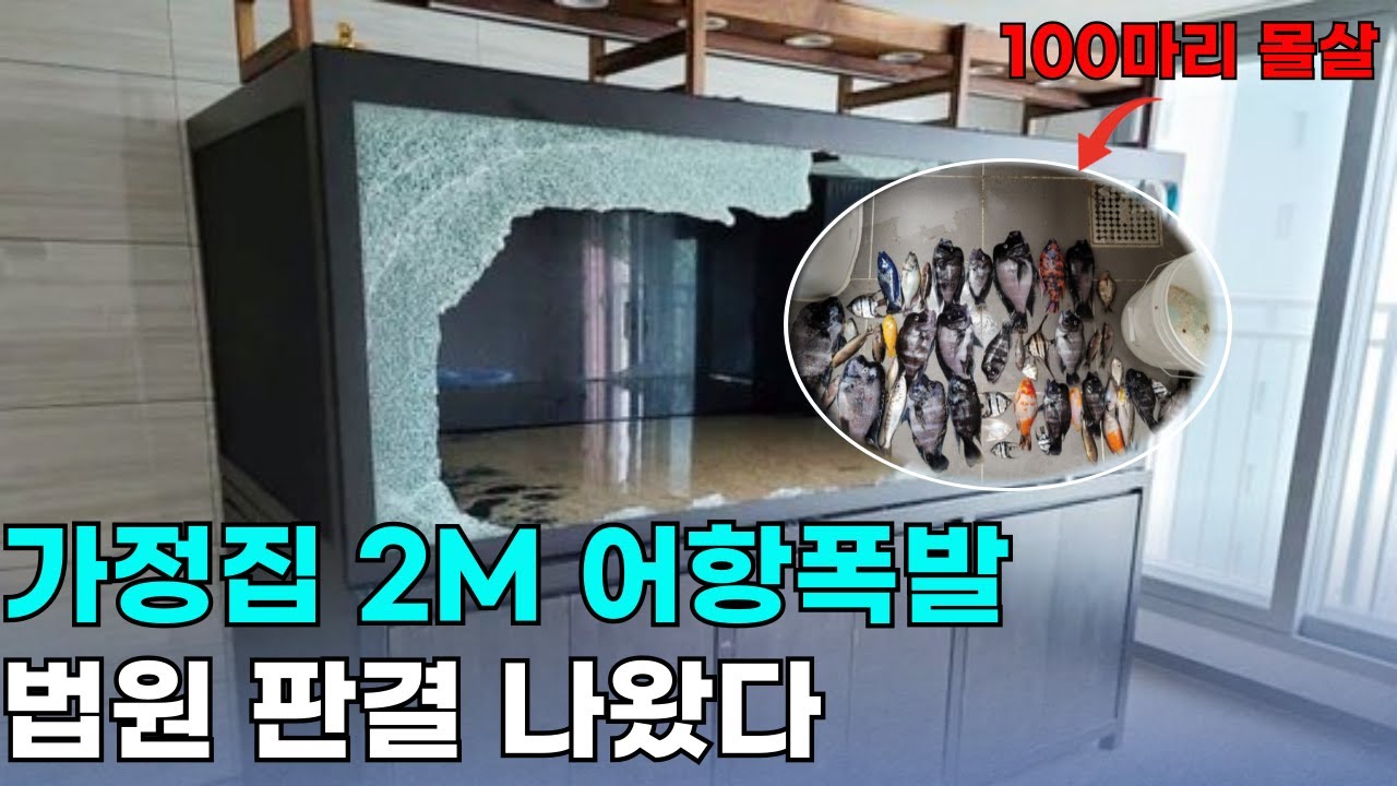 드디어 판결나왔네요. 우리가 몰랐던 가정집 어항 폭발 사건의 전말과 결과