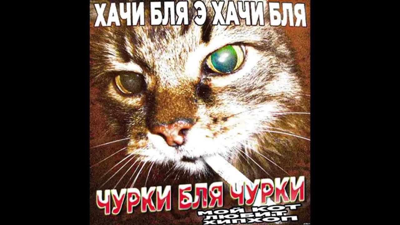 pozitiv
