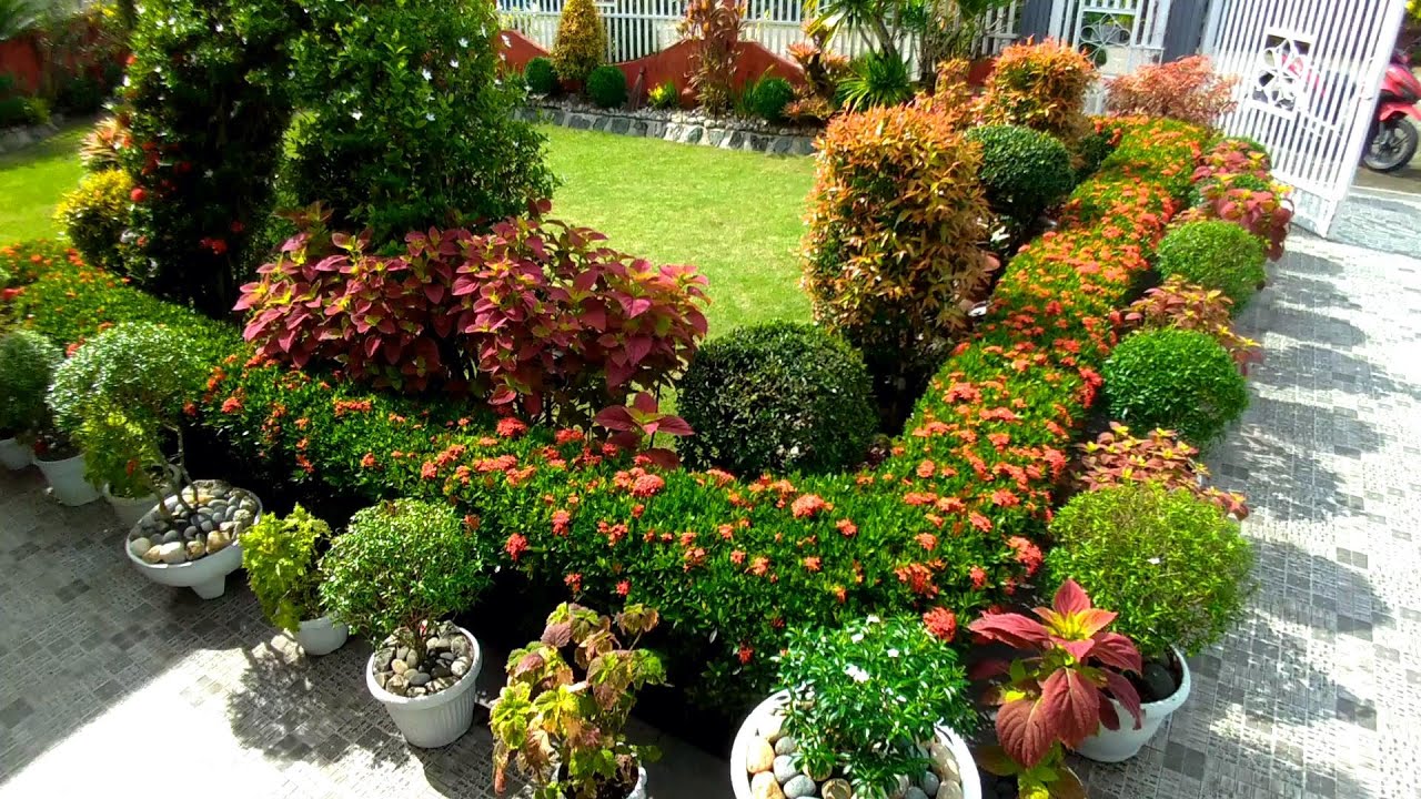 THE MIND BLOWING HOUSE GARDEN/COUNTRYSIDE
