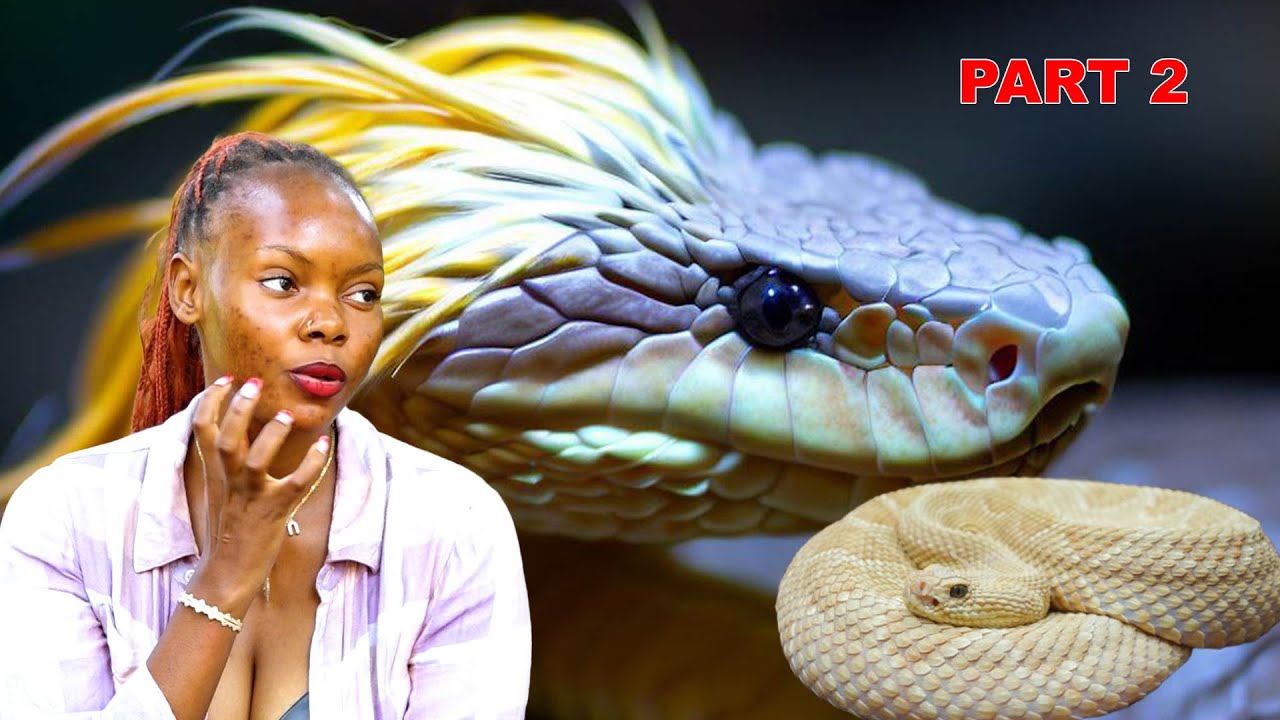 Myaka 2 Nga ndabilira musambwa mukiyumba esaudi _ Bino Bitiisa Faith atotola byeyalaba mubuwalabu