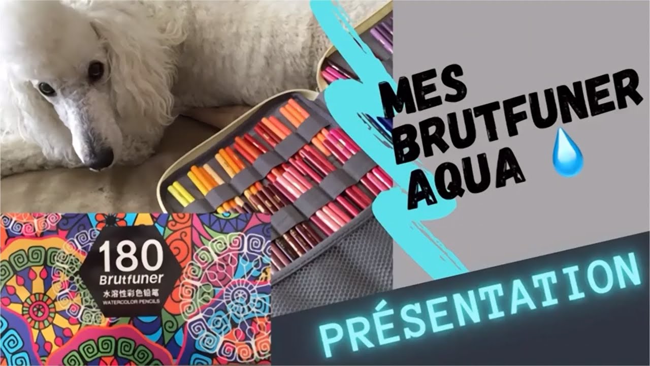 [Crayons de couleur] Présentation des Crayons Aqua BRUTFUNER?  Rêve ou cauchemar??