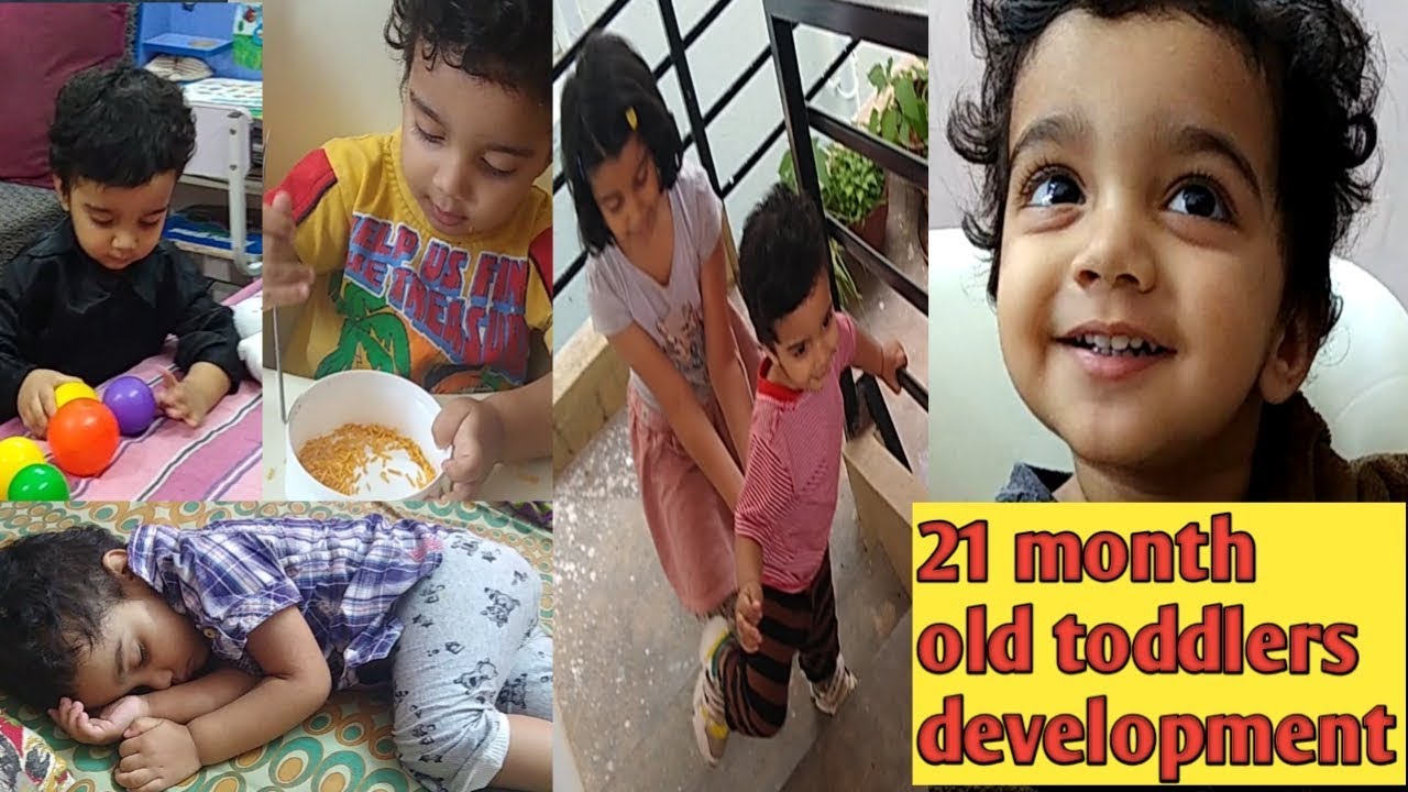 21 month old toddler growth development and day activities
