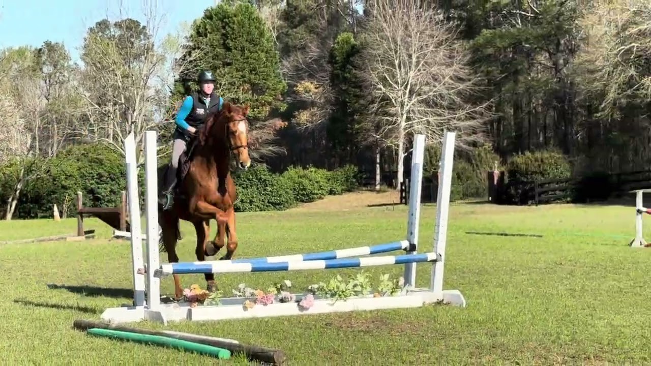 Pedro Katie Jump 2
