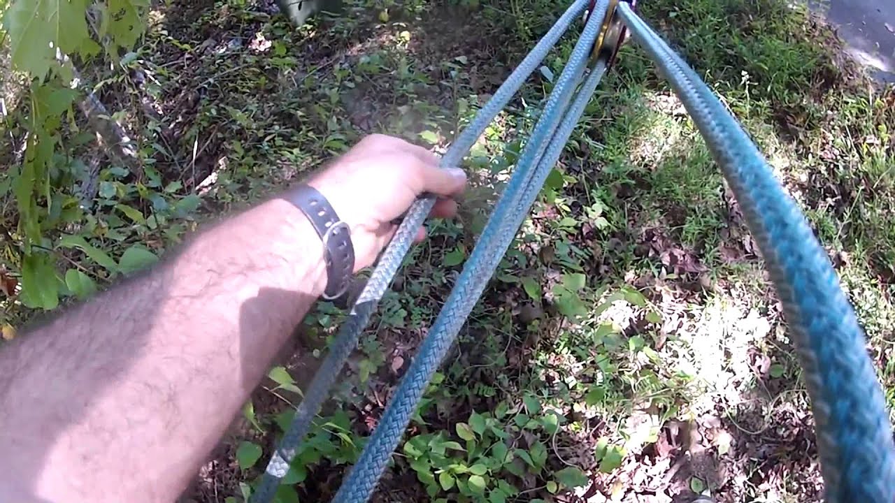 Tree Pulling Kit Setup