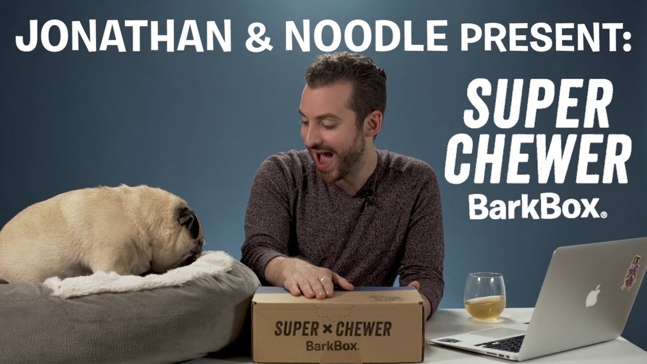 Unboxing the Dogsmas in the City SUPER CHEWER BarkBox with Jonathan & Noodle!