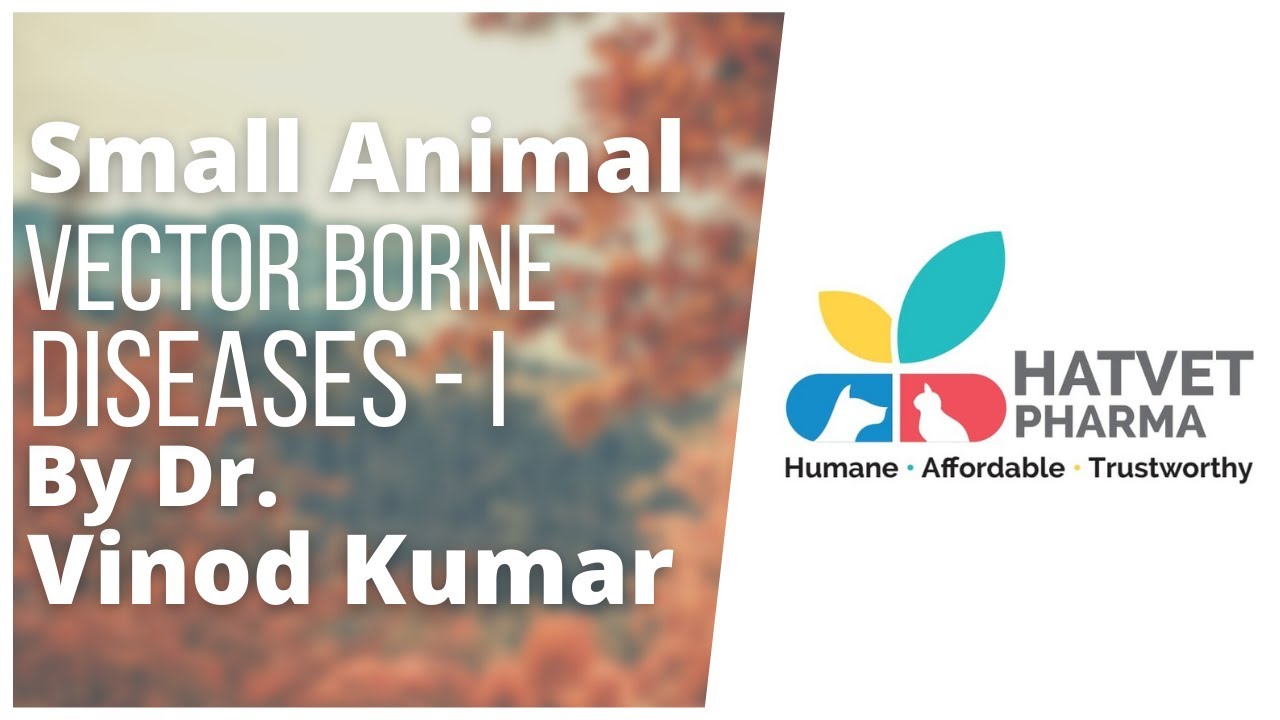 Vector Borne Diseases in Small Animals By Dr. Vinod Kumar
