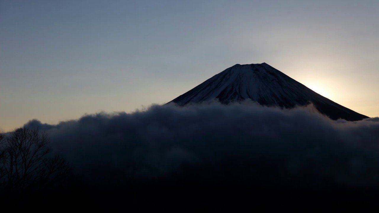 poppiholla - chicane