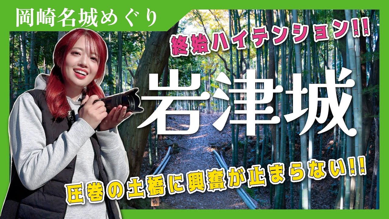 【岩津城】虎口と堀切と横堀に大興奮！-岡崎名城めぐりパンフレットで城めぐり- #岡崎市 #城