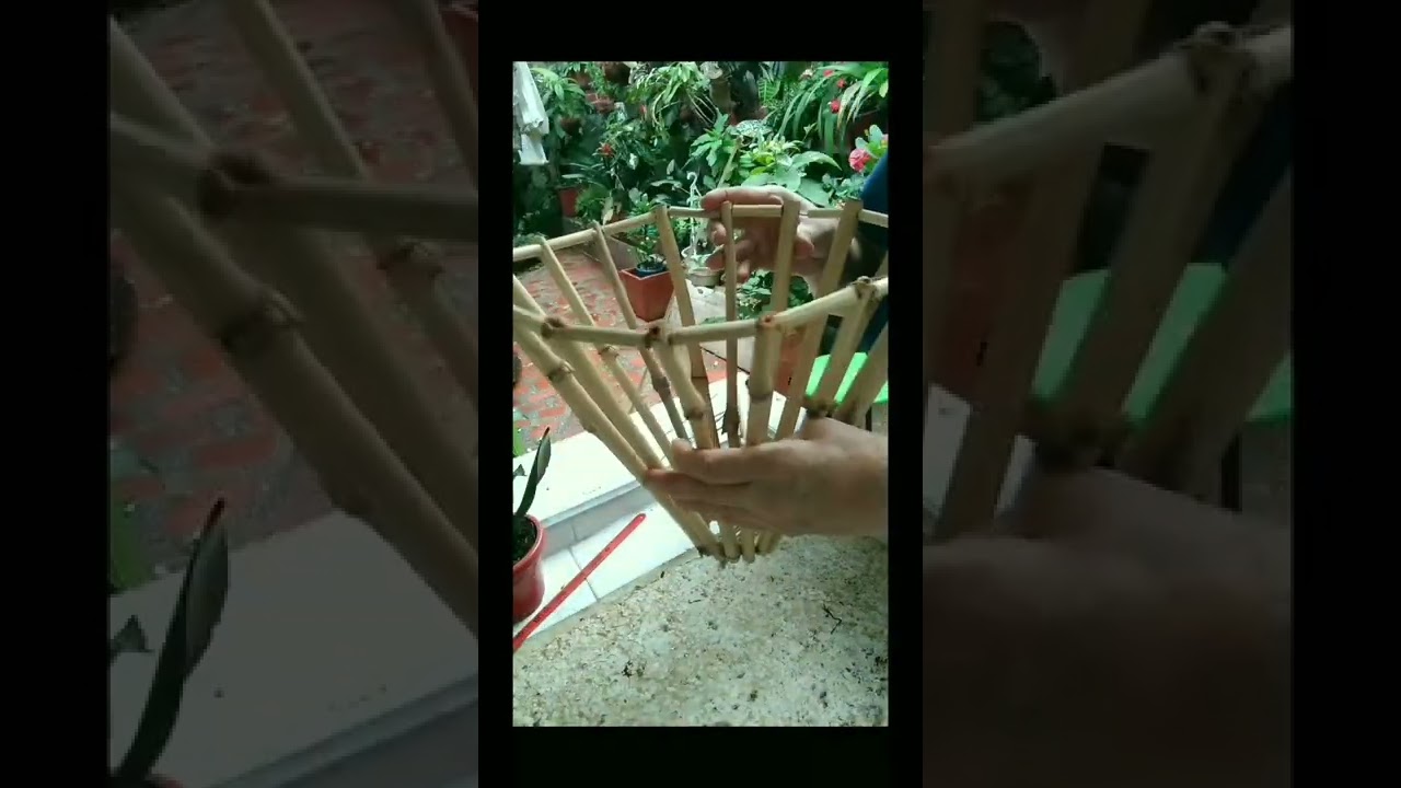 Macetas de bambú  o gradúa , y siembra de plantas 🪴🌿🌵