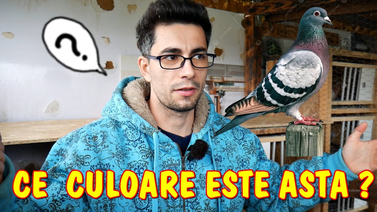 Viața la țară 😯 Ce surprize avem la voiajori ? - început de aprilie 2025