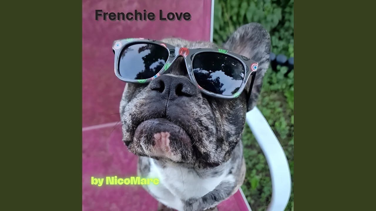 Frenchie Love