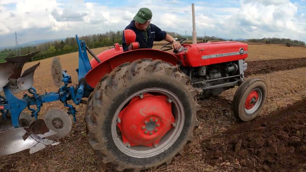 1966 Massey Ferguson 135 2.5 Litre 3-Cyl Diesel Tractor (46HP) With Reversible Plough