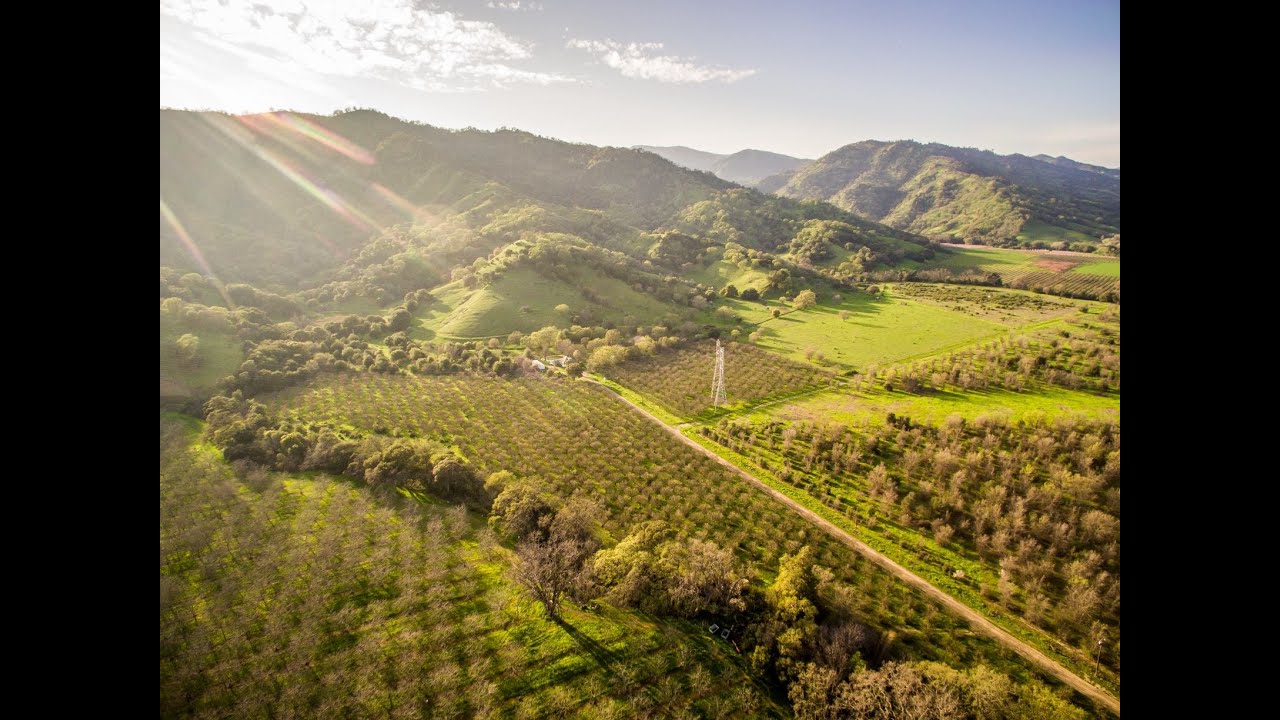 Northern California Ranch | Vacaville Orchard Ranch, Vacaville CA