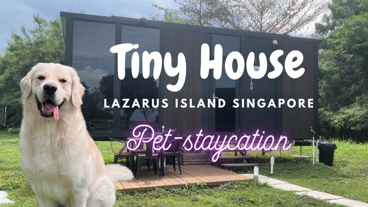 Like We Own the WHOLE Island in Singapore | Pet Staycation