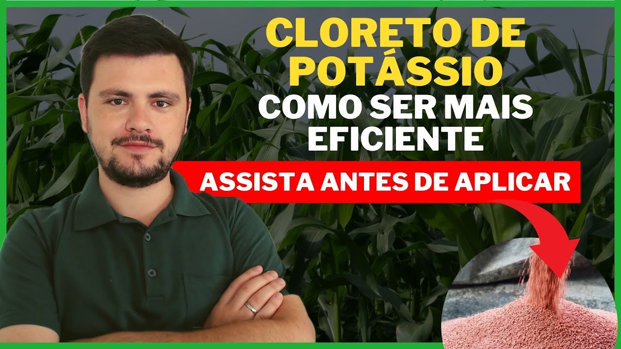 Como Ser mais Eficiente no uso de CLORETO DE POTÁSSIO