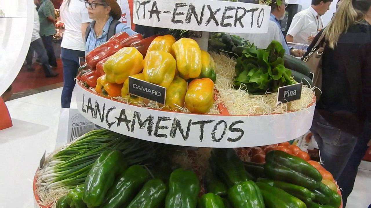 Como fazer estufa, visita à Hortitec 2016.