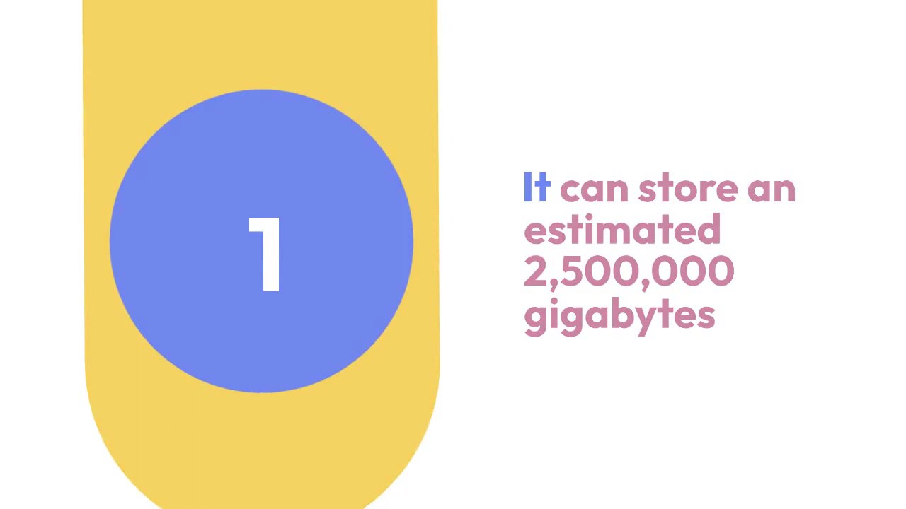 25 INTERESTING FACTS ABOUT THE BRAIN, PSYCHOLOGY & THE MIND